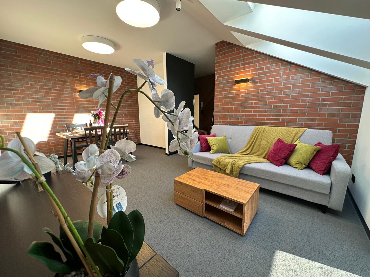 Loft Grojec Apartment No3